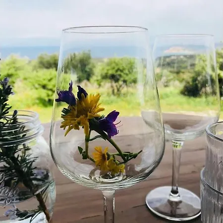 Tenute Bandera - Stazzubandera Holiday home Aglientu