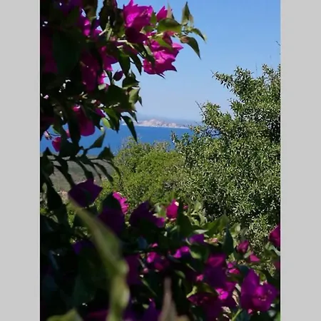 Tenute Bandera - Stazzubandera Holiday home *